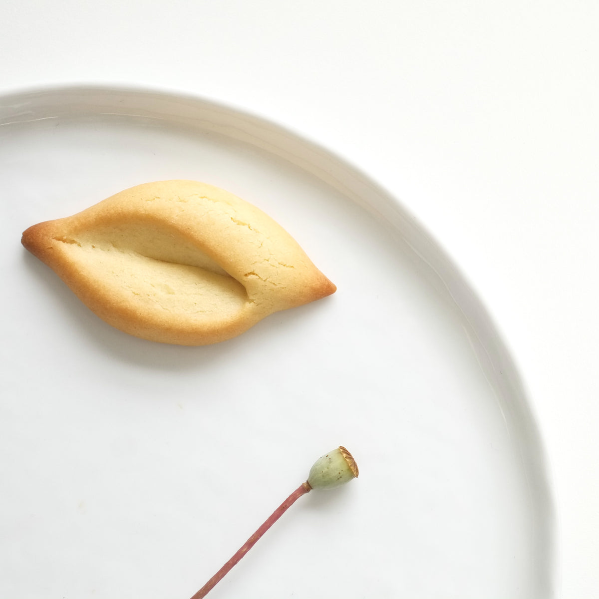 Navette fleur d'oranger Maison Craquelin au beurre, à la forme revisitée, posée sur une assiette blanche